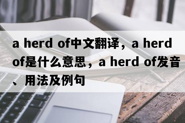 a herd of中文翻譯，a herd of是什么意思，a herd of發(fā)音、用法及例句