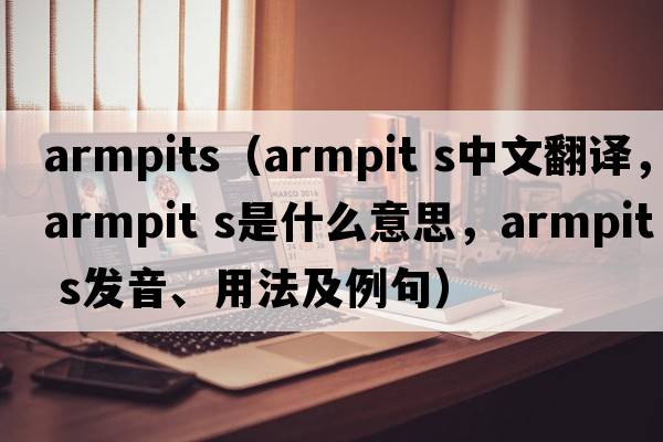 armpits（armpit s中文翻譯，armpit s是什么意思，armpit s發(fā)音、用法及例句）