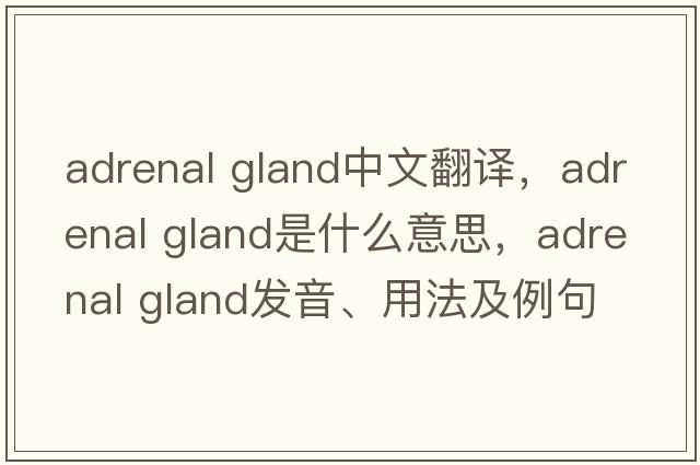 adrenal gland中文翻譯，adrenal gland是什么意思，adrenal gland發(fā)音、用法及例句