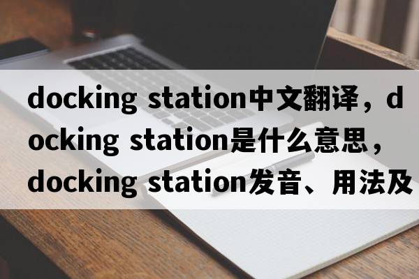 docking station中文翻譯，docking station是什么意思，docking station發(fā)音、用法及例句
