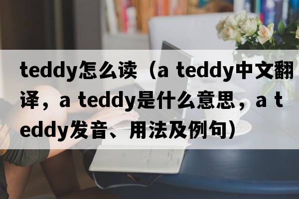 teddy怎么讀（a teddy中文翻譯，a teddy是什么意思，a teddy發(fā)音、用法及例句）