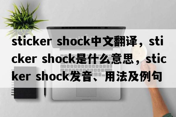 sticker shock中文翻譯，sticker shock是什么意思，sticker shock發(fā)音、用法及例句