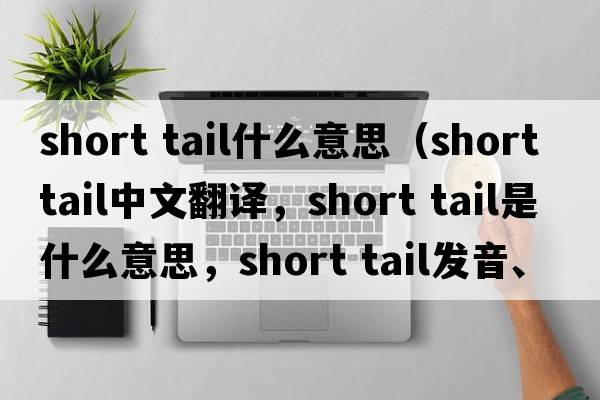 short tail什么意思（short tail中文翻譯，short tail是什么意思，short tail發(fā)音、用法及例句）