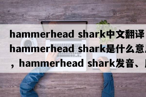 hammerhead shark中文翻譯，hammerhead shark是什么意思，hammerhead shark發(fā)音、用法及例句