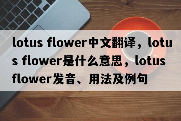 lotus flower中文翻譯，lotus flower是什么意思，lotus flower發(fā)音、用法及例句