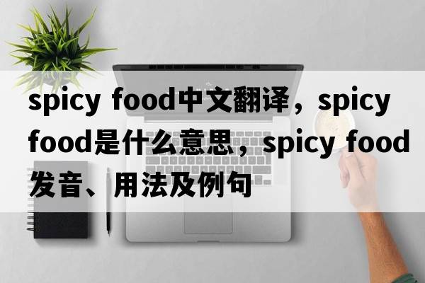 spicy food中文翻譯，spicy food是什么意思，spicy food發(fā)音、用法及例句