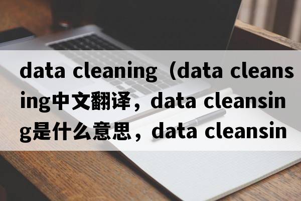 data cleaning（data cleansing中文翻譯，data cleansing是什么意思，data cleansing發(fā)音、用法及例句）