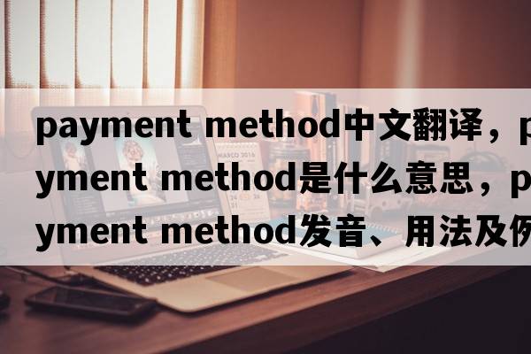 payment method中文翻譯，payment method是什么意思，payment method發(fā)音、用法及例句