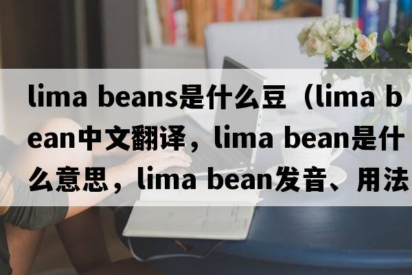 lima beans是什么豆（lima bean中文翻譯，lima bean是什么意思，lima bean發(fā)音、用法及例句）