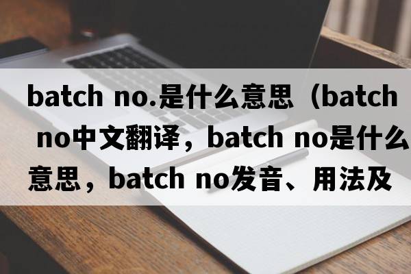 batch no.是什么意思（batch no中文翻譯，batch no是什么意思，batch no發(fā)音、用法及例句）