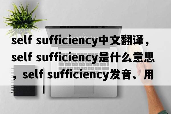 self sufficiency中文翻譯，self sufficiency是什么意思，self sufficiency發(fā)音、用法及例句