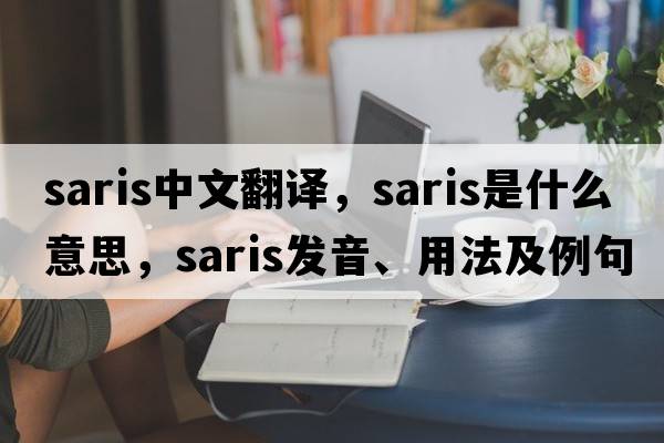 saris中文翻譯，saris是什么意思，saris發(fā)音、用法及例句