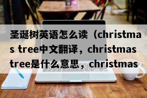 圣誕樹(shù)英語(yǔ)怎么讀（christmas tree中文翻譯，christmas tree是什么意思，christmas tree發(fā)音、用法及例句）