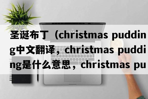 圣誕布丁（christmas pudding中文翻譯，christmas pudding是什么意思，christmas pudding發(fā)音、用法及例句）