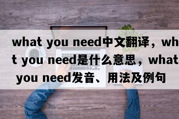 what you need中文翻譯，what you need是什么意思，what you need發(fā)音、用法及例句