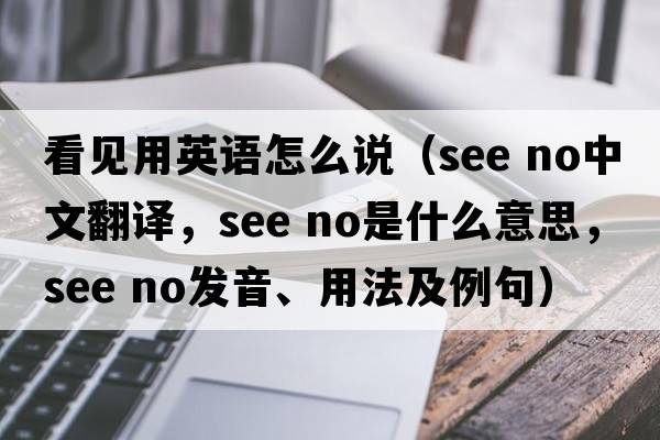 看見用英語怎么說（see no中文翻譯，see no是什么意思，see no發(fā)音、用法及例句）