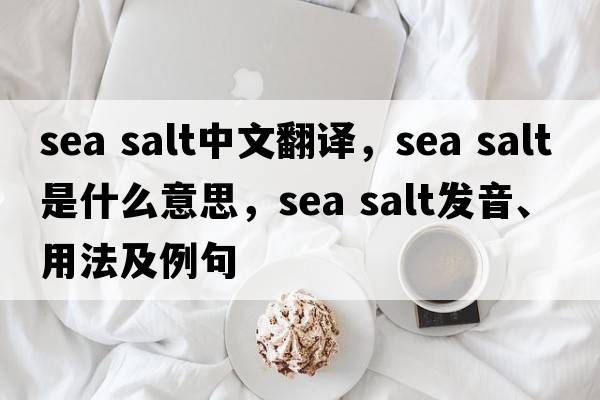 sea salt中文翻譯，sea salt是什么意思，sea salt發(fā)音、用法及例句