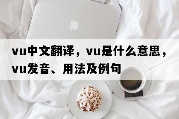 vu中文翻譯，vu是什么意思，vu發(fā)音、用法及例句