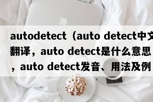 autodetect（auto detect中文翻譯，auto detect是什么意思，auto detect發(fā)音、用法及例句）