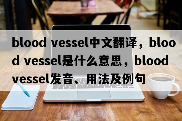 blood vessel中文翻譯，blood vessel是什么意思，blood vessel發(fā)音、用法及例句