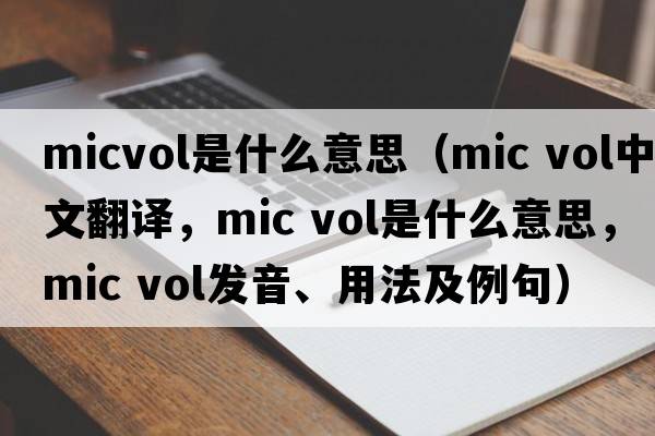 micvol是什么意思（mic vol中文翻譯，mic vol是什么意思，mic vol發(fā)音、用法及例句）
