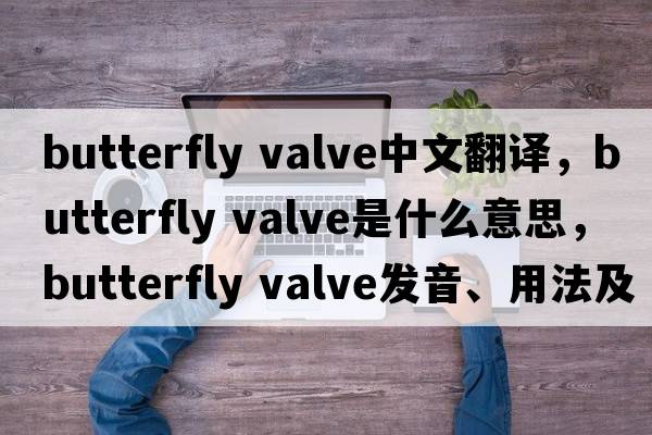 butterfly valve中文翻譯，butterfly valve是什么意思，butterfly valve發(fā)音、用法及例句