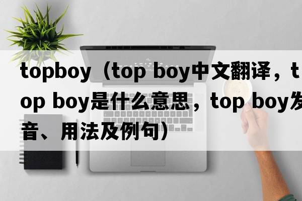 topboy（top boy中文翻譯，top boy是什么意思，top boy發(fā)音、用法及例句）