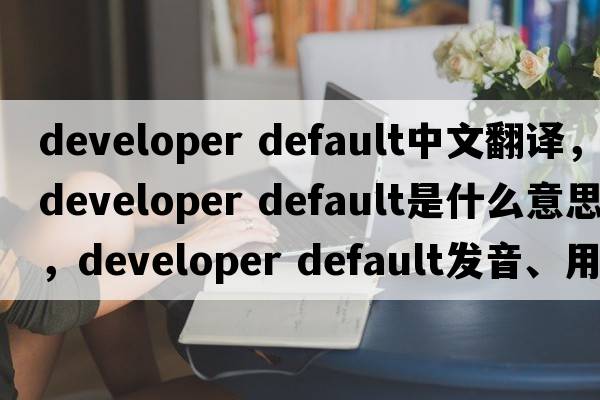 developer default中文翻譯，developer default是什么意思，developer default發(fā)音、用法及例句