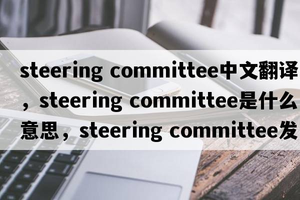 steering committee中文翻譯，steering committee是什么意思，steering committee發(fā)音、用法及例句