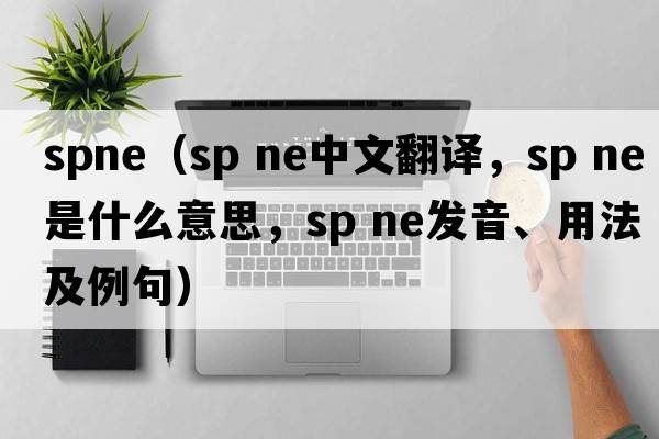 spne（sp ne中文翻譯，sp ne是什么意思，sp ne發(fā)音、用法及例句）