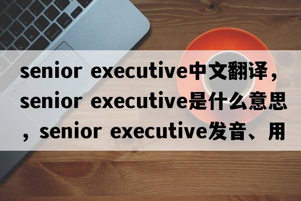 senior executive中文翻譯，senior executive是什么意思，senior executive發(fā)音、用法及例句