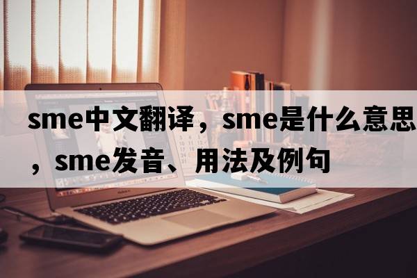 sme中文翻譯，sme是什么意思，sme發(fā)音、用法及例句