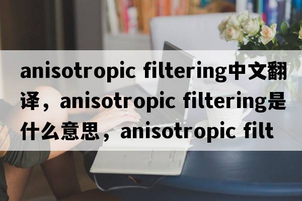 anisotropic filtering中文翻譯，anisotropic filtering是什么意思，anisotropic filtering發(fā)音、用法及例句