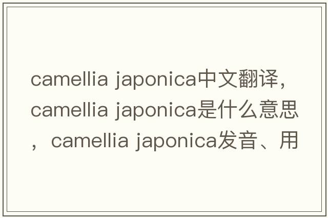camellia japonica中文翻譯，camellia japonica是什么意思，camellia japonica發(fā)音、用法及例句