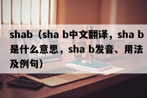 shab（sha b中文翻譯，sha b是什么意思，sha b發(fā)音、用法及例句）