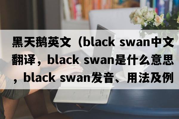 黑天鵝英文（Black swan中文翻譯，Black swan是什么意思，Black swan發(fā)音、用法及例句）