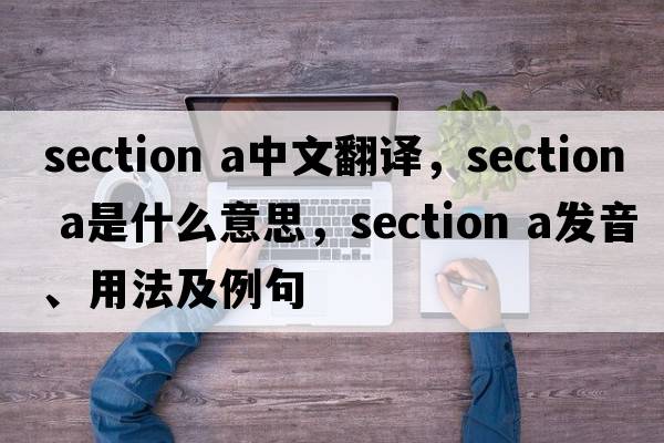 section a中文翻譯，section a是什么意思，section a發(fā)音、用法及例句
