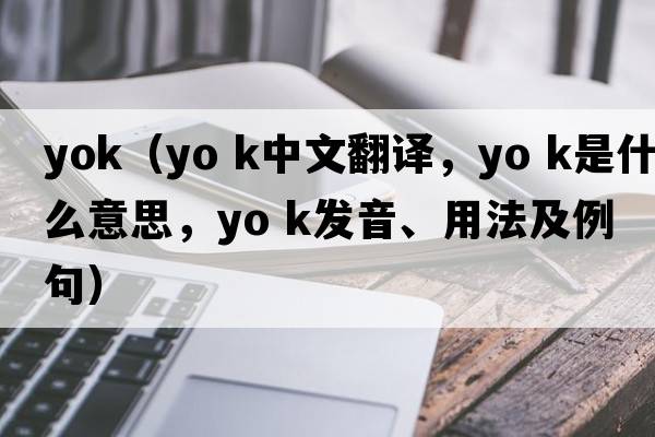 yok（yo k中文翻譯，yo k是什么意思，yo k發(fā)音、用法及例句）