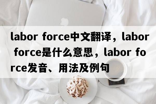 labor force中文翻譯，labor force是什么意思，labor force發(fā)音、用法及例句