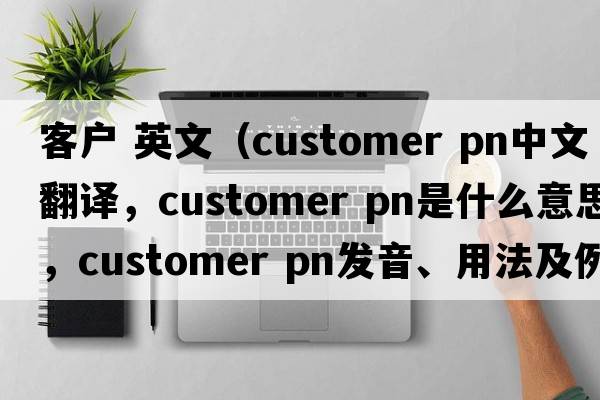 客戶 英文（customer pn中文翻譯，customer pn是什么意思，customer pn發(fā)音、用法及例句）