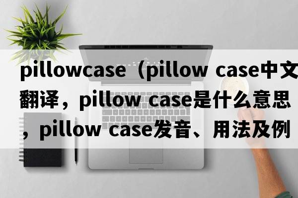 pillowcase（pillow case中文翻譯，pillow case是什么意思，pillow case發(fā)音、用法及例句）