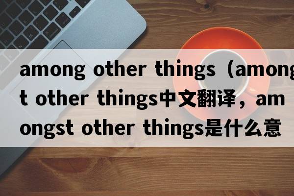 among other things（amongst other things中文翻譯，amongst other things是什么意思，amongst other things發(fā)音、用法及例句）