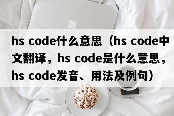 hs code什么意思（hs code中文翻譯，hs code是什么意思，hs code發(fā)音、用法及例句）