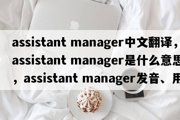 assistant manager中文翻譯，assistant manager是什么意思，assistant manager發(fā)音、用法及例句