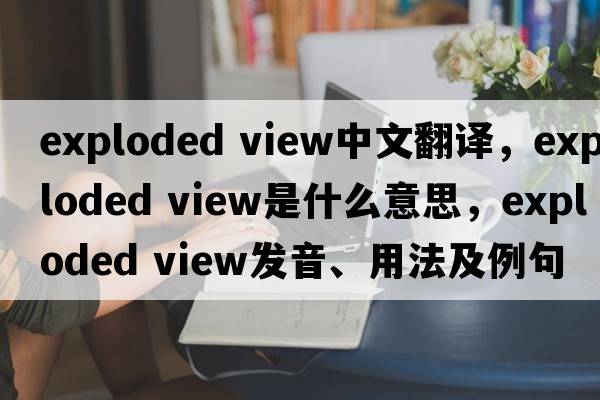exploded view中文翻譯，exploded view是什么意思，exploded view發(fā)音、用法及例句