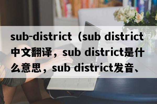 sub-district（sub district中文翻譯，sub district是什么意思，sub district發(fā)音、用法及例句）