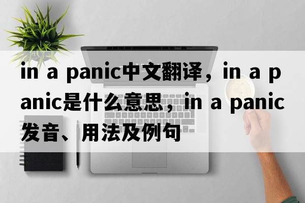 in a panic中文翻譯，in a panic是什么意思，in a panic發(fā)音、用法及例句