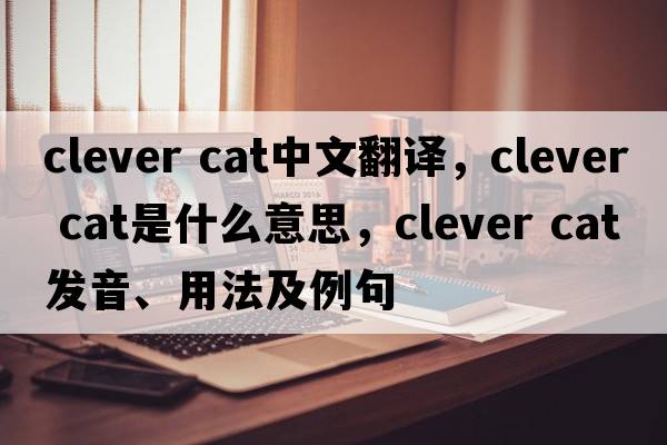 clever cat中文翻譯，clever cat是什么意思，clever cat發(fā)音、用法及例句