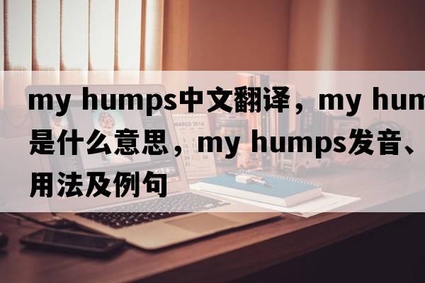 my humps中文翻譯，my humps是什么意思，my humps發(fā)音、用法及例句
