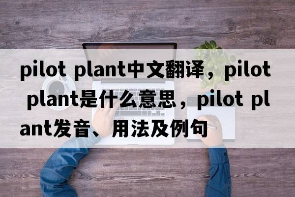 pilot plant中文翻譯，pilot plant是什么意思，pilot plant發(fā)音、用法及例句